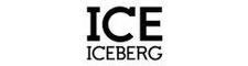 Iceberg