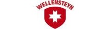Wellensteyn